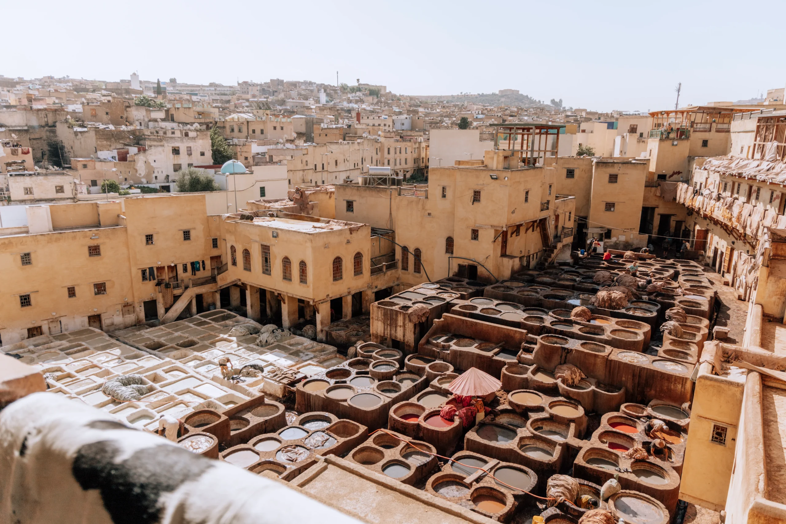 10 Days Tour from Fes
