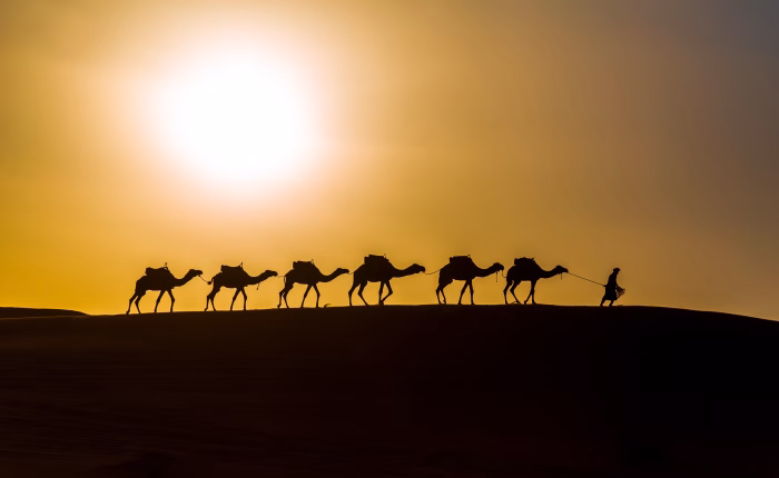 5 days desert tour from Fes